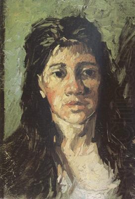 Vincent Van Gogh Head of a Woman with her Hair Loose (nn04) china oil painting image